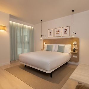 Studio Suite Accessible